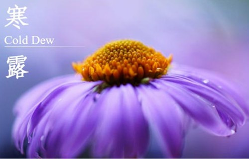 Image result for 24 Solar Term: Cold Dew 寒露